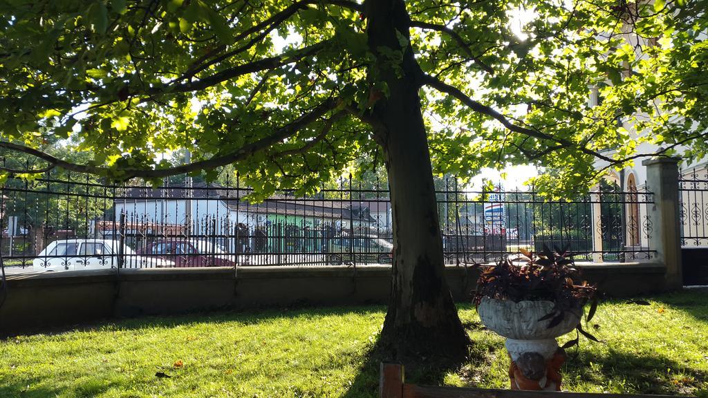 Apartmán 3 Platana Palić Exteriér fotografie