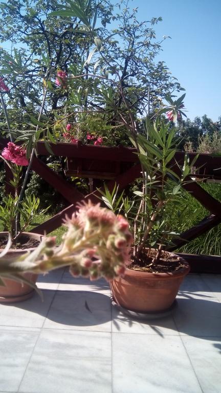 Apartmán 3 Platana Palić Exteriér fotografie