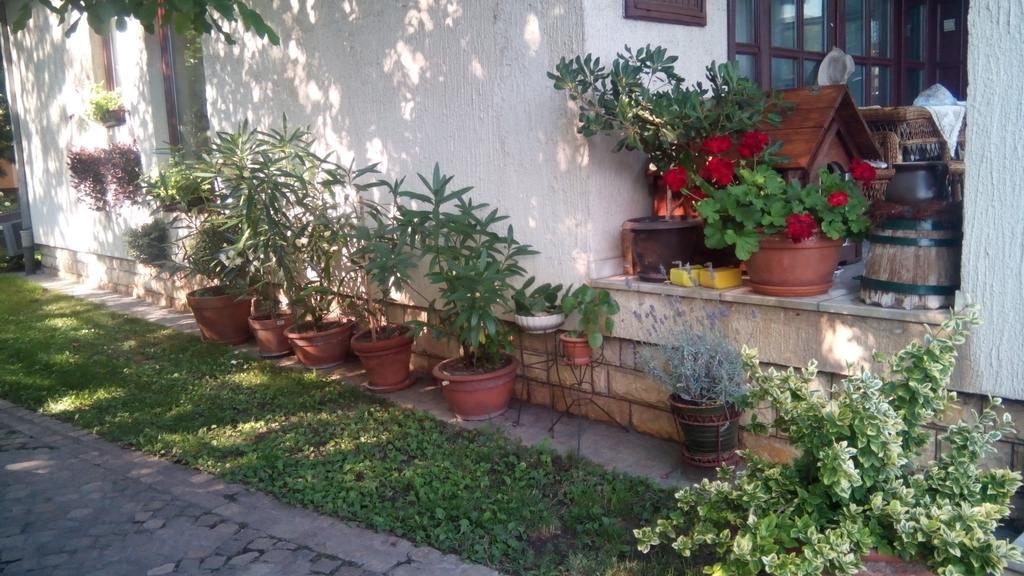 Apartmán 3 Platana Palić Exteriér fotografie