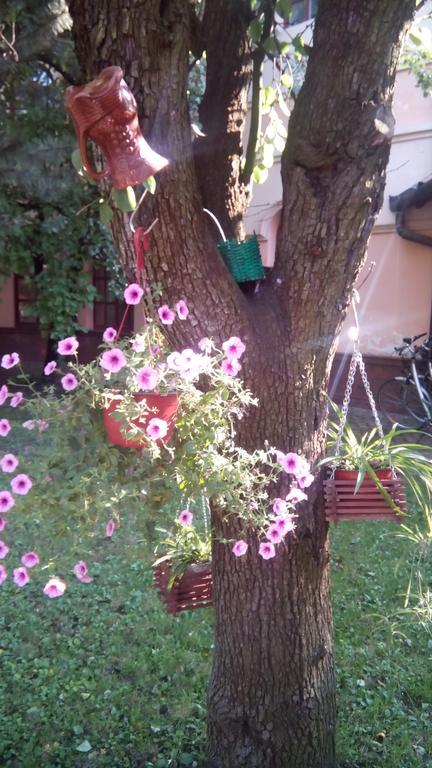 Apartmán 3 Platana Palić Exteriér fotografie