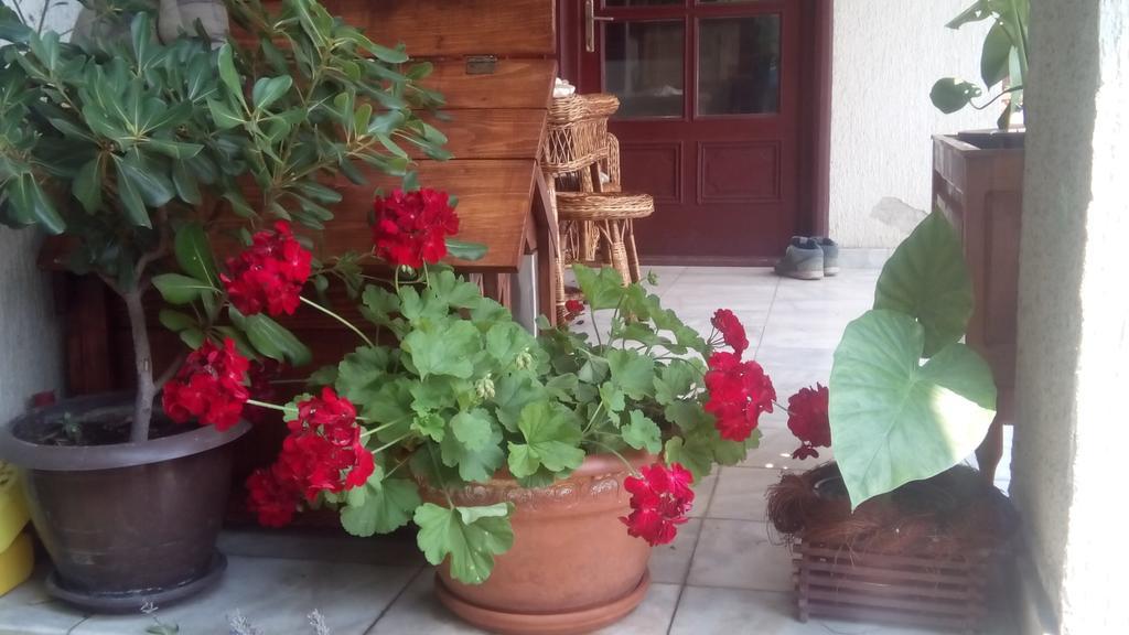 Apartmán 3 Platana Palić Exteriér fotografie