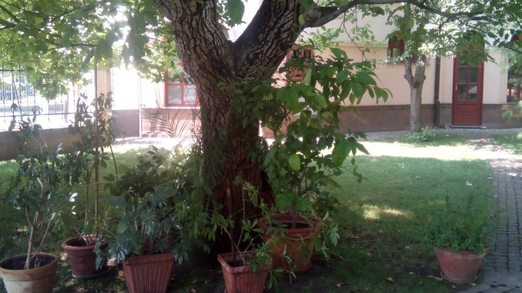 Apartmán 3 Platana Palić Exteriér fotografie