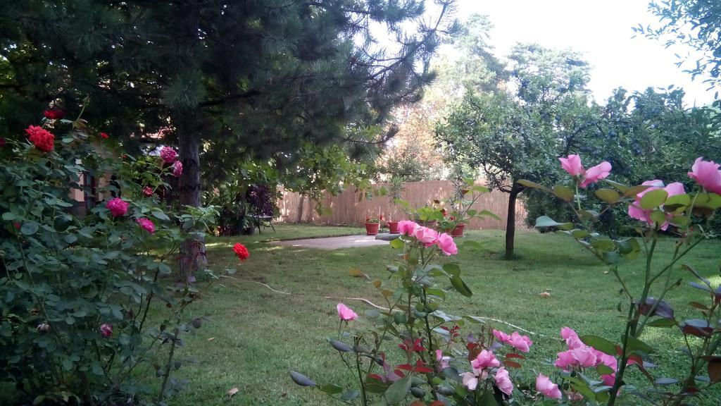 Apartmán 3 Platana Palić Exteriér fotografie