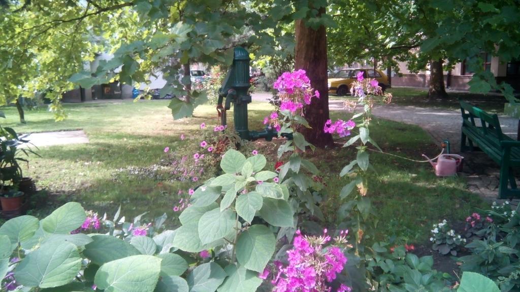 Apartmán 3 Platana Palić Exteriér fotografie