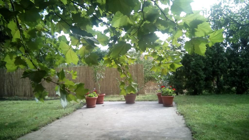 Apartmán 3 Platana Palić Exteriér fotografie