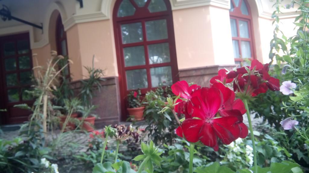 Apartmán 3 Platana Palić Exteriér fotografie