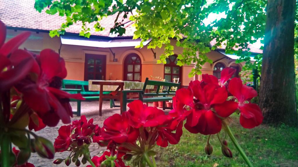 Apartmán 3 Platana Palić Exteriér fotografie