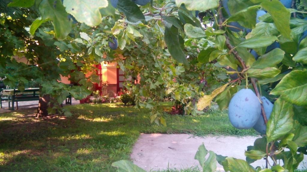 Apartmán 3 Platana Palić Exteriér fotografie