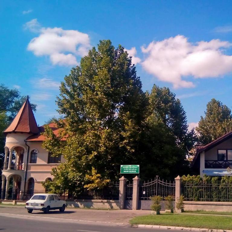 Apartmán 3 Platana Palić Exteriér fotografie